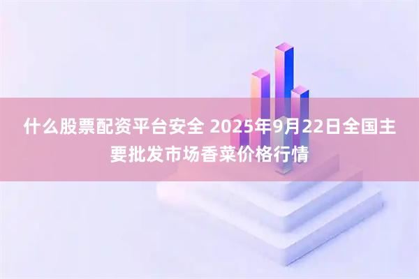 什么股票配资平台安全 2025年9月22日全国主要批发市场香菜价格行情